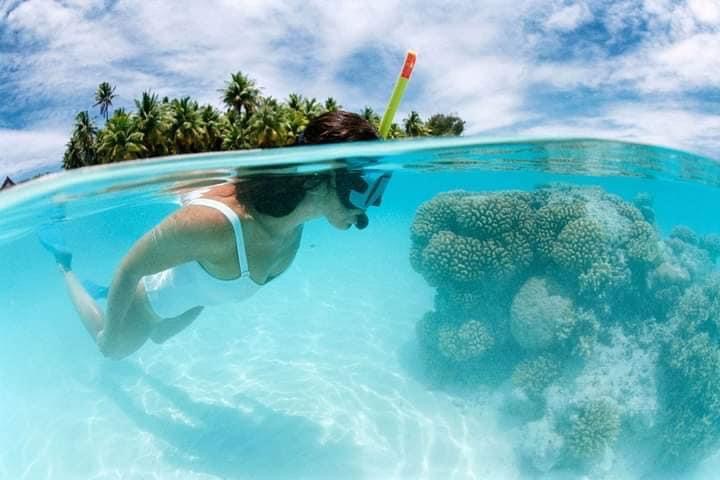 Catalinaislandexcursion