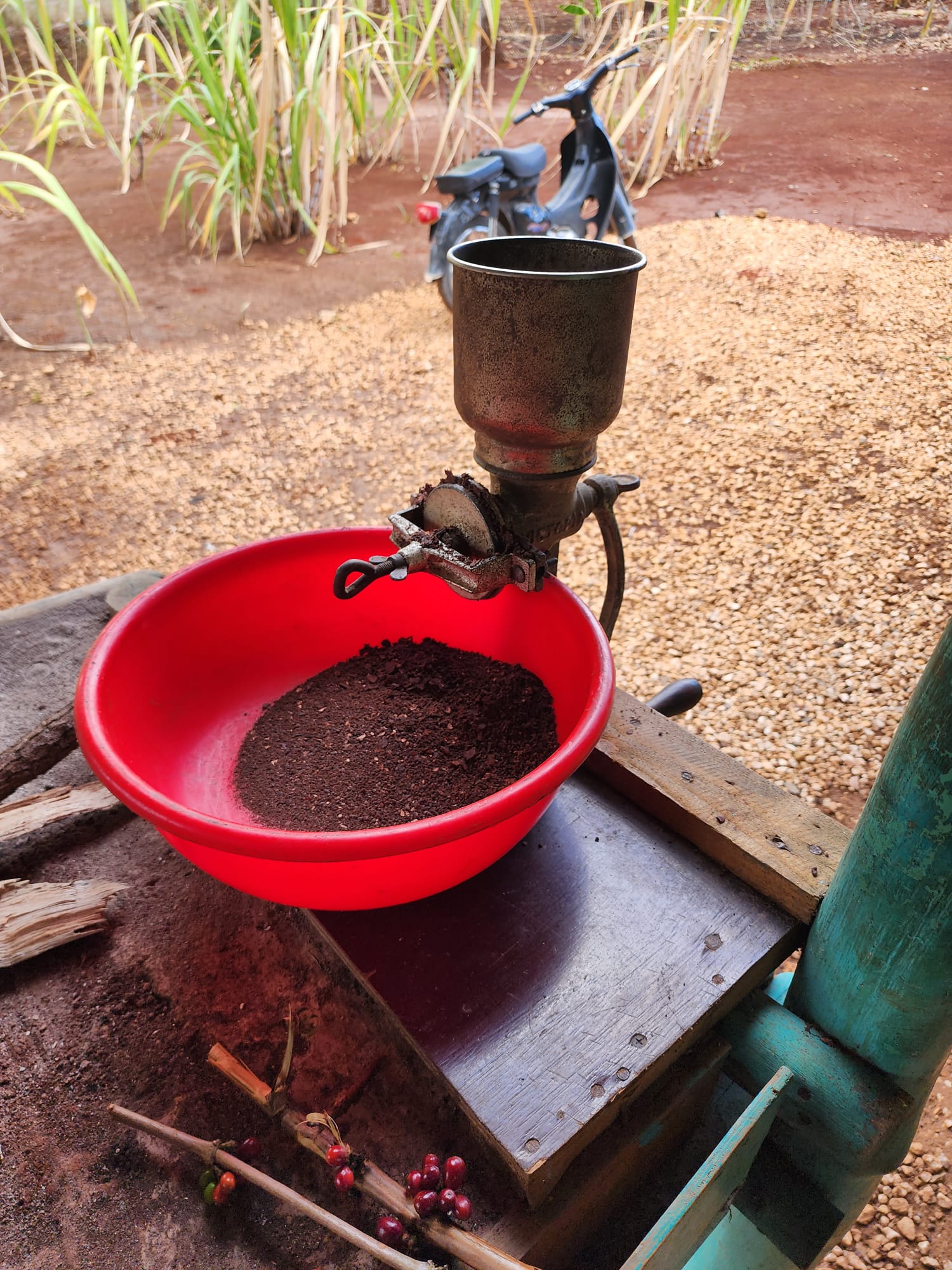 Be a dominican for a Day 