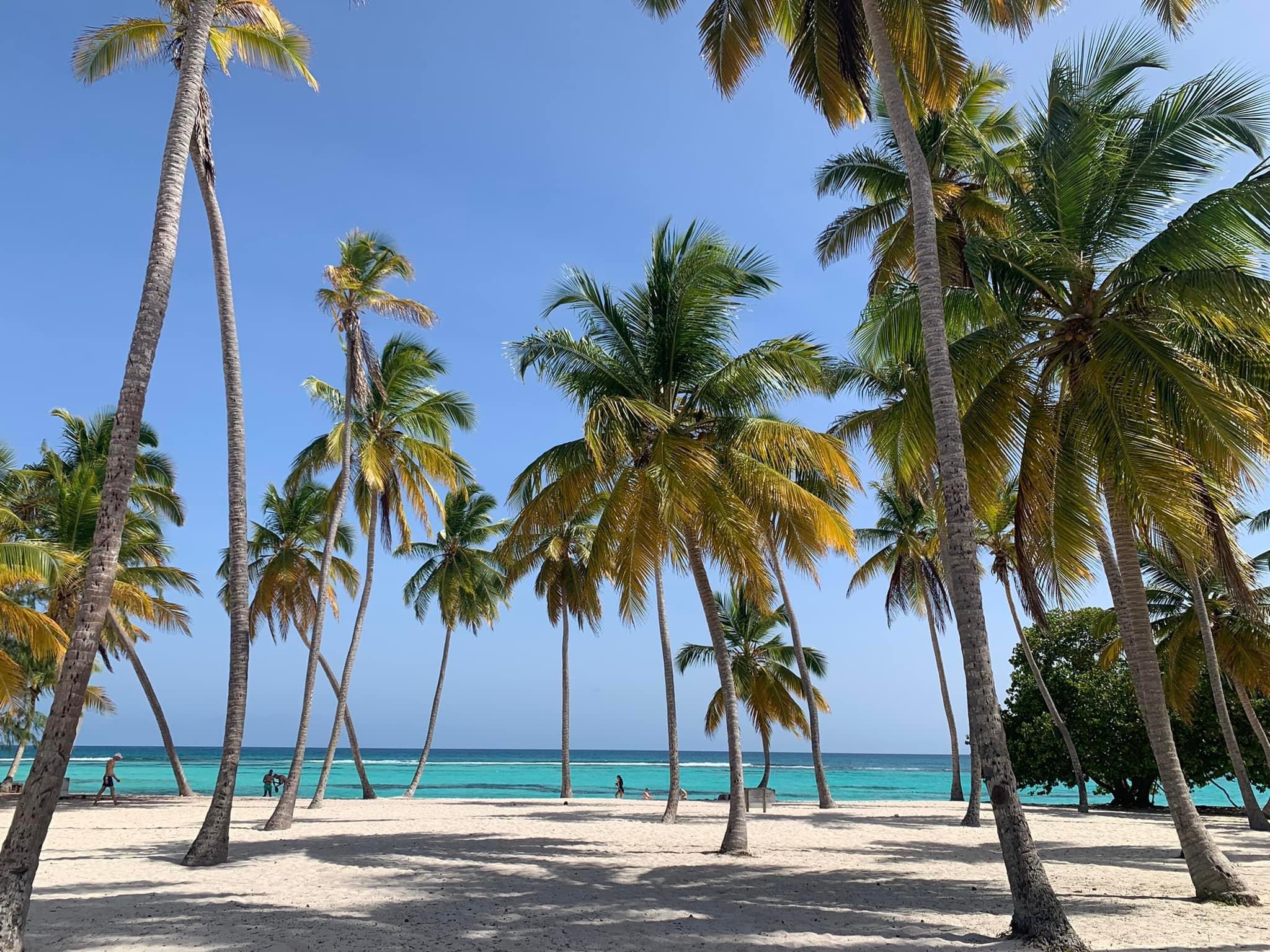 Saona island VIP excursions 