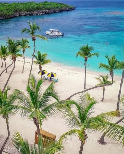 Catalinaislandexcursion